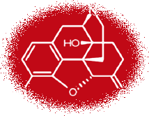 Oxycodone molecule